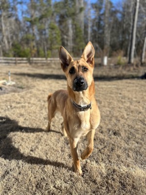 Photo of Duke