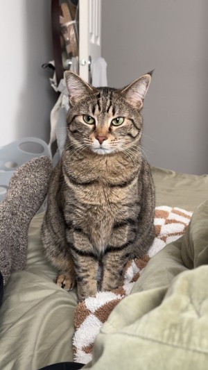 Photo of Mocha