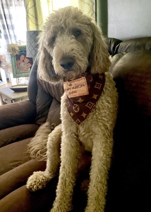 Photo of Tucker Prince