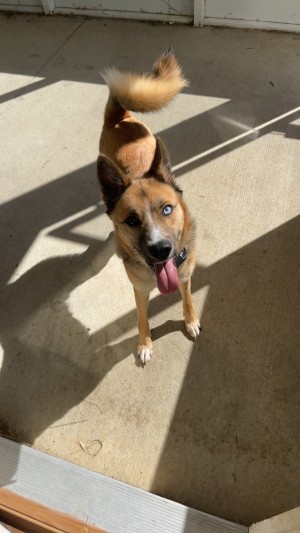 Photo of Ghost