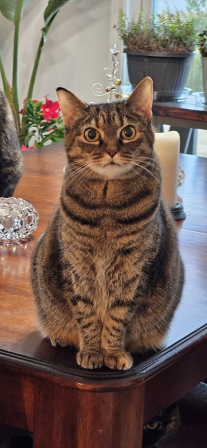 Photo of Hazel