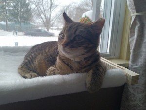 Photo of Junior