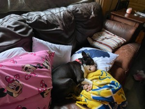 Photo of Winnie