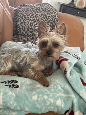 Photo of Lola