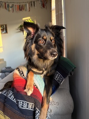 Photo of Lucy
