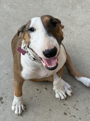 Photo of Princess