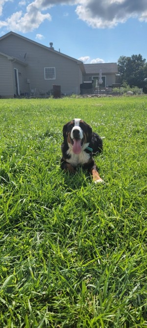 Photo of Moses