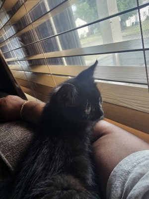 Photo of Jinx