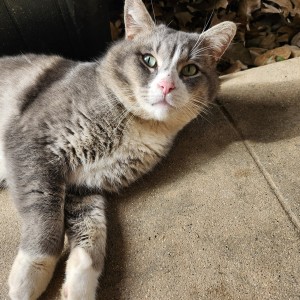 Photo of Fatty