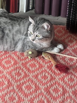 Photo of Smokey