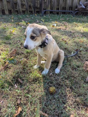 Photo of Wrenley