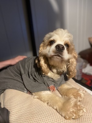 Photo of Oakley