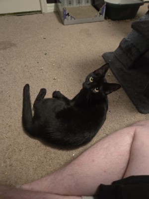 Photo of Mitzi