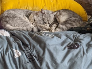 Photo of Yosef And Frida