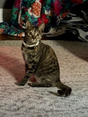 Photo of Storm