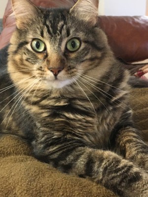 Photo of Bob