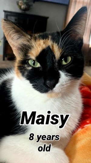 Photo of Maisy