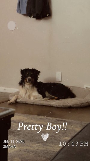 Photo of Buddy