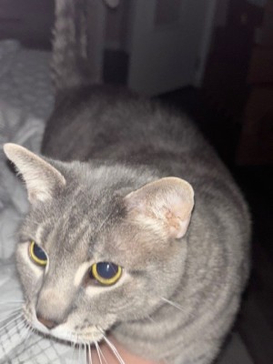 Photo of Louis