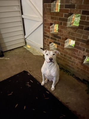 Photo of Ghost
