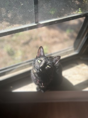 Photo of Sally