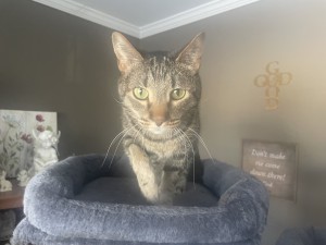 Photo of BamBam