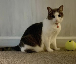 Photo of Luna