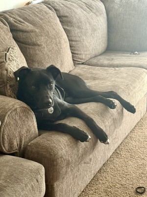 Photo of Baby