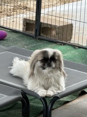 Photo of Libby