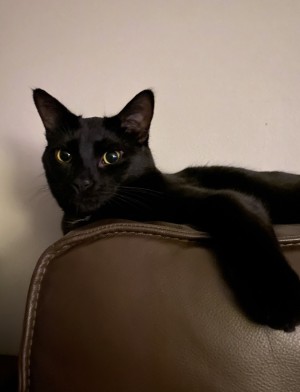 Photo of Zeke