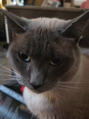 Photo of Mr Biscuits