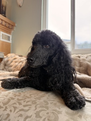 Photo of Andy