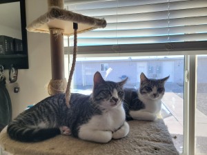 Photo of Nikita (mom) & Jetson (her Boy)