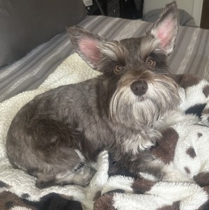 Photo of Sally