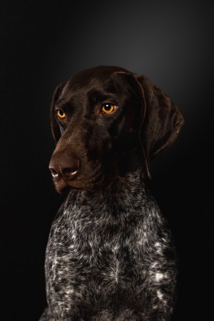 Photo of Rylie