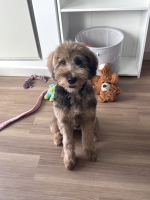 Photo of Angel
