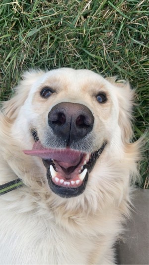 Photo of Skye