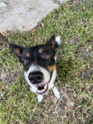 Photo of Finn