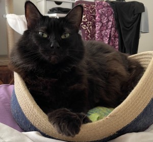 Photo of Lucy
