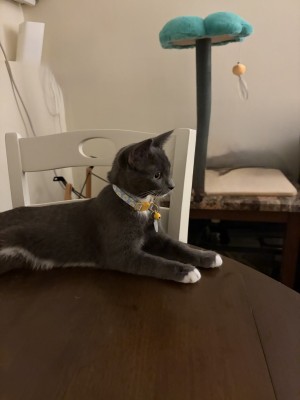 Photo of Jude