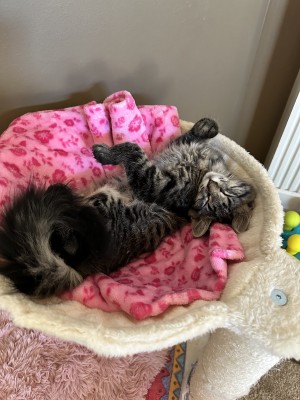Photo of Lucy