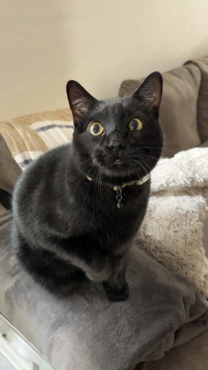 Photo of Edmund
