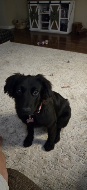 Photo of Molly