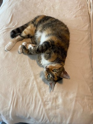Photo of Tuffy