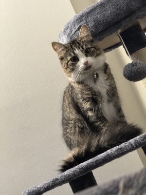 Photo of Mia