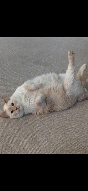 Photo of Flynn
