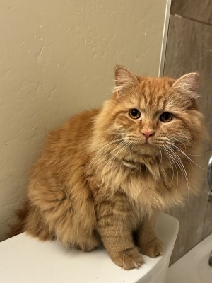 Photo of Mr.Lady
