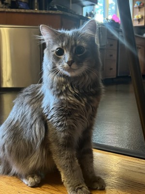 Photo of Jasper
