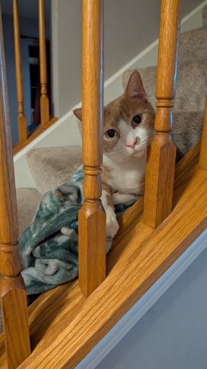 Photo of Rico