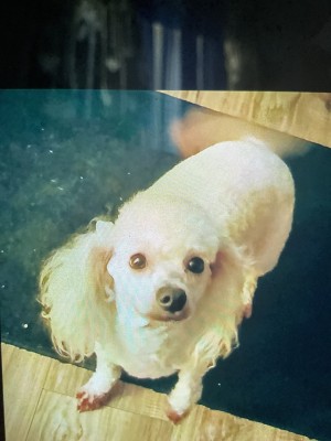 Photo of Kya Barrett